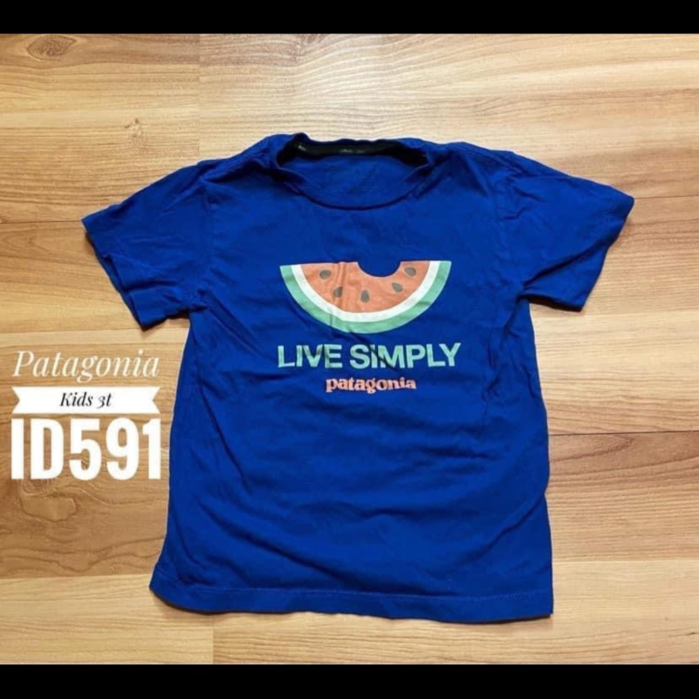 3T Patagonia Kids Shirt